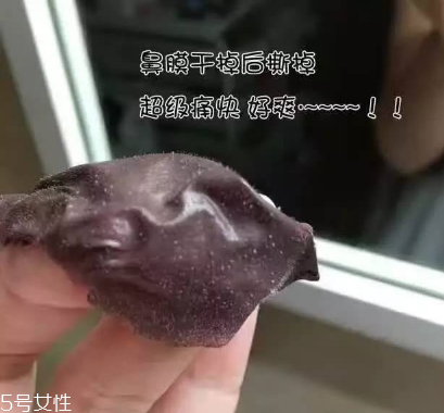 去黑頭哪個牌子好 去黑頭最好的面膜2022 去黑頭哪個牌子好 去黑頭最好的面膜2022