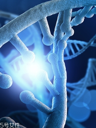 egf原液可以天天用嗎？