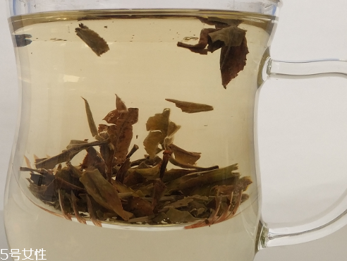 白牡丹茶多少錢一斤？180元左右