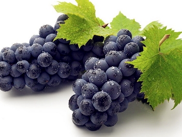 花青素可以長期服用嗎？