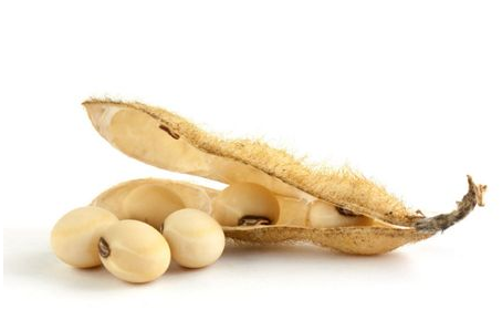 卵磷脂青少年可以吃嗎？吃了益處多