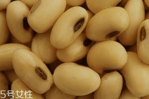 卵磷脂通乳嗎？這個還不一定