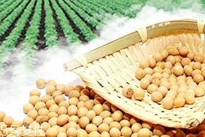 卵磷脂能和鈣一起吃嗎？分開服用為佳