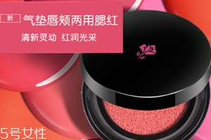 2022氣墊腮紅哪個牌子好用？