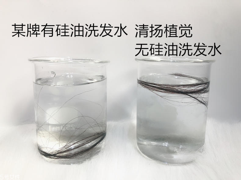 清揚0硅油洗發(fā)水好用嗎？自帶高級感香調