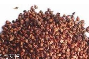 葡萄籽是飯前吃還是飯后吃？最全吃法