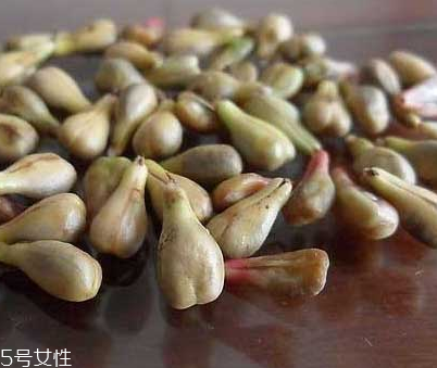 葡萄籽是寒性的嗎？屬于寒性