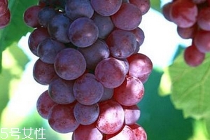 葡萄籽會(huì)推遲月經(jīng)嗎？一般不會(huì)
