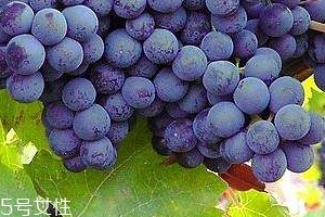 葡萄籽會(huì)長(zhǎng)痘嗎？沒(méi)有這個(gè)情況