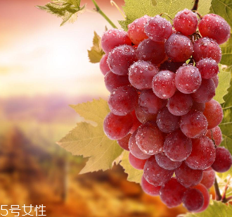 葡萄籽會影響睡眠嗎？這個肯定不會