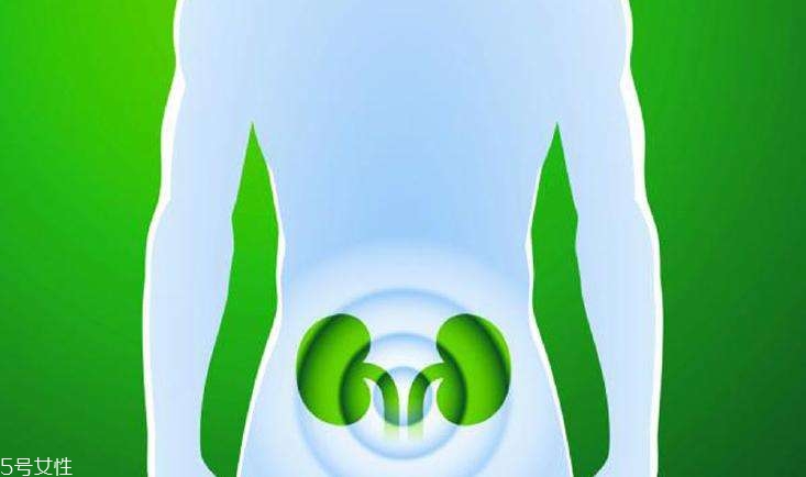 怎樣預(yù)防腎病的發(fā)生 護(hù)腎飲食10要點(diǎn) 怎樣預(yù)防腎病的發(fā)生 護(hù)腎飲食10要點(diǎn)