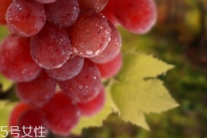葡萄籽泡水喝有作用嗎？美容保健