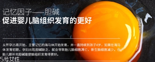 黃金素和dha可以一起吃嗎？