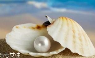 南洋珍珠是海水珍珠嗎？