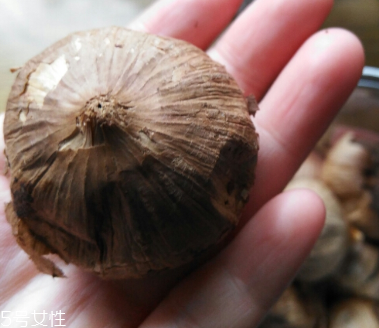 黑蒜的價格多少錢一斤？黑蒜很貴嗎？