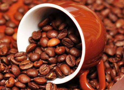 咖啡豆多少錢一斤 咖啡豆最新價格行情 咖啡豆多少錢一斤 咖啡豆最新價格行情