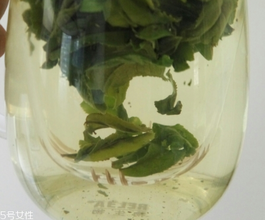 六安瓜片是紅茶還是綠茶？