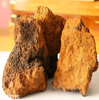 樺樹(shù)茸怎么吃？樺樹(shù)茸正確吃法