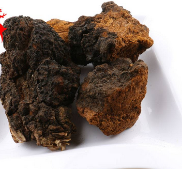 樺樹(shù)茸怎么吃？樺樹(shù)茸正確吃法