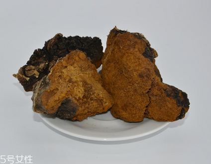 樺樹茸怎么泡水喝？樺樹茸泡水喝法