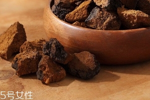 樺樹(shù)茸是樹(shù)黃嗎？樺樹(shù)茸屬于什么