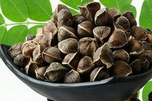 辣木籽哪里產(chǎn)的好？哪里的辣木籽最好？