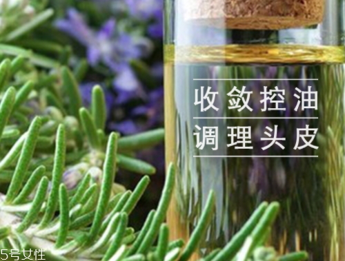 迷迭香精油怎么用？迷迭香精油使用注意事項(xiàng)