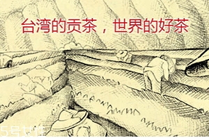 四云奶蓋貢茶哪個好喝？四云奶蓋貢茶點單攻略