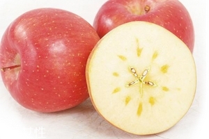 冰糖心蘋果怎么挑？冰糖心蘋果特點
