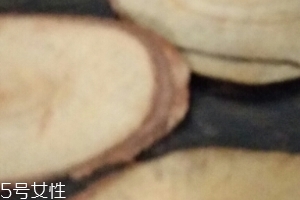 東革阿里是中藥嗎？東革阿里是什么？