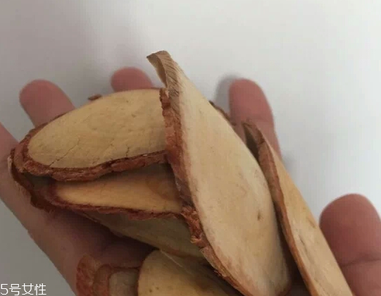 東革阿里是中藥嗎？東革阿里是什么？