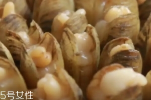清蒸蟶子的做法 清蒸蟶子怎么做好吃？