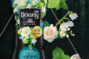 downy留香珠多少錢？當妮留香珠一瓶容量