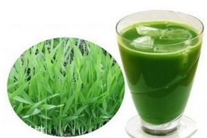 大麥若葉青汁是什么做的？