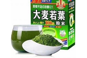 大麥若葉青汁小孩可以喝嗎？
