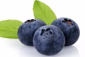 花青素是雌激素嗎？花青素是什么？