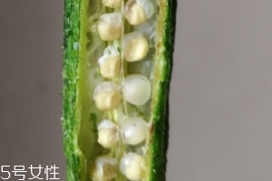 秋葵干好吃嗎？秋葵干怎么吃？