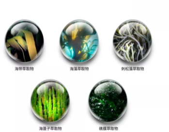 jm防曬噴霧什么味道？jmsolution防曬噴霧好聞嗎？