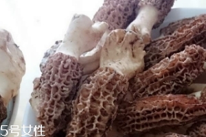 羊肚菌是什么東西？羊肚菌能吃嗎？