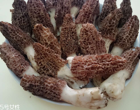 羊肚菌是什么東西？羊肚菌能吃嗎？