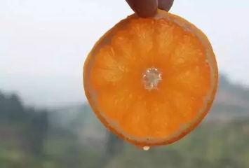 青見(jiàn)柑橘上火嗎？青見(jiàn)柑橘一天吃幾個(gè)好