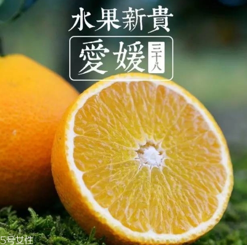 愛媛38號多少錢一斤？愛媛38號柑桔市場行情
