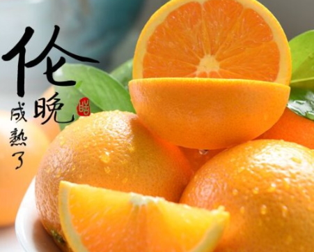 倫晚臍橙和夏橙哪個(gè)好？倫晚臍橙和其他橙子的區(qū)別