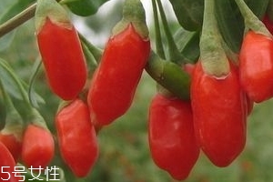 寧夏枸杞子多少錢(qián)一斤？寧夏枸杞價(jià)格