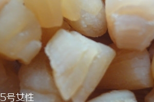 干貝是海鮮嗎？干貝是什么動(dòng)物做的？