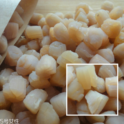 干貝是海鮮嗎？干貝是什么動物做的？