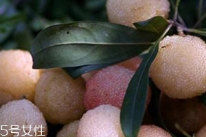白楊梅好還是紅楊梅好吃？白楊梅和紅楊梅對比