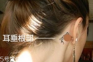 暈車(chē)貼貼哪里？暈車(chē)貼貼哪里示意圖