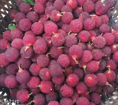 烏酥楊梅多少錢一斤？烏酥楊梅好吃嗎