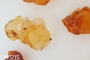 桃膠能生吃嗎？生吃桃膠可以嗎？